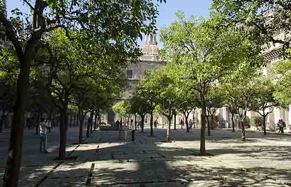 Sevilla 020 - catedral - patio de los Naranjos.jpg